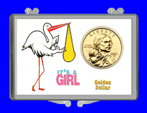 .gif of a 3x2 coin holder for a sacahawea dollar - it's a girl stork theme
