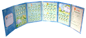 .gif of whitmans my first coin keepsake coin foldes birthyear through age 5 showing a 4 panels