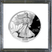 .gif of a capital plastic KF coin holder