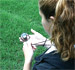 .gif of UltraOptix 4x compact magnifying glass