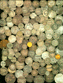 .gif of Brunk's Merchant and privately cointermarked coins book