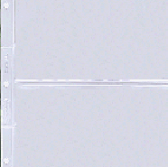 .gif of the Supersafe NPGC archival page for graded currency