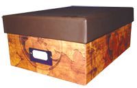.jpg of the Whitman 7780 graded currency storage box