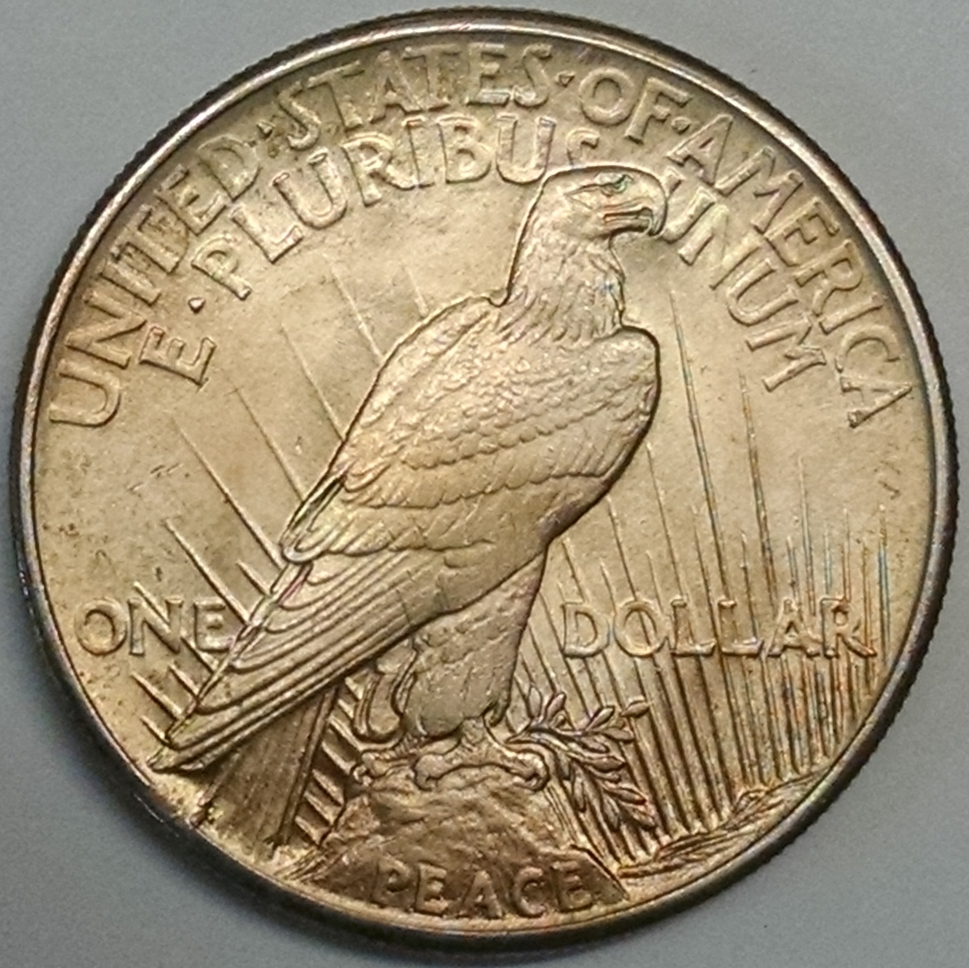 1921 Peace Dollar - Reverse - www.jakesmp.com